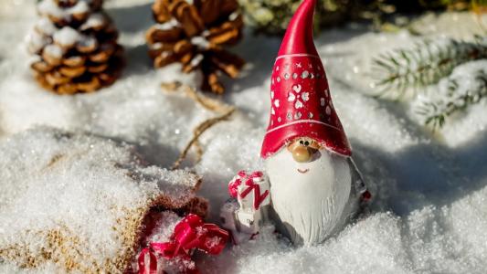 侏儒在帽子，礼物，雪，颠簸，云杉分行，冬天，新的一年