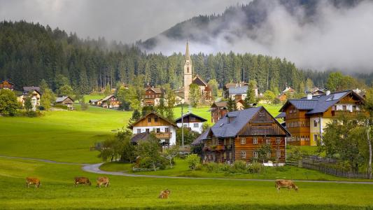 奥地利，奥地利，戈绍村，村庄，房屋，奶牛