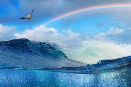 海，波浪，喷雾，天空，彩虹，海鸥