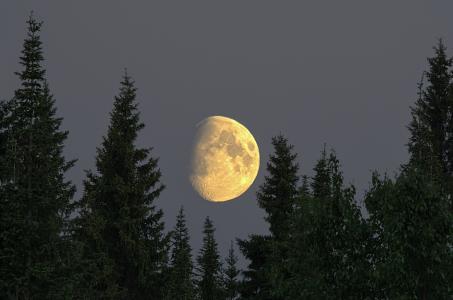 伯朝拉，平静，白夜，月亮，伊戈尔·波多巴耶夫