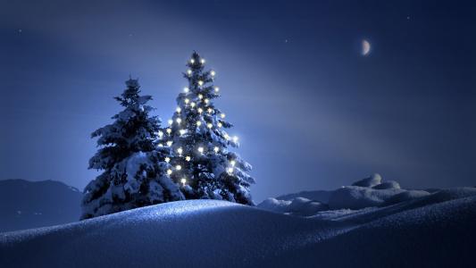 圣诞树，图片，雪，天空，月亮，灯