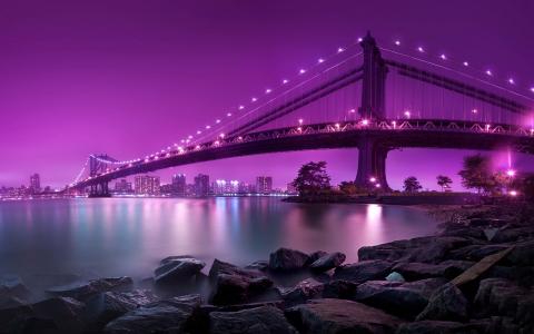 城市，桥，晚上，河，紫色