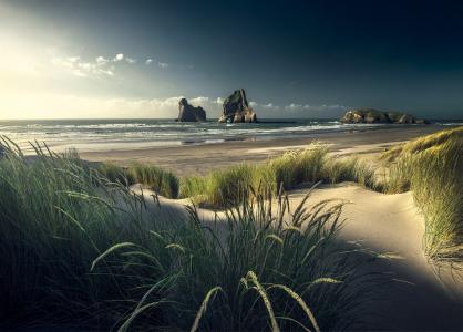自然，夏天，新西兰，海岸，海滩，沙丘