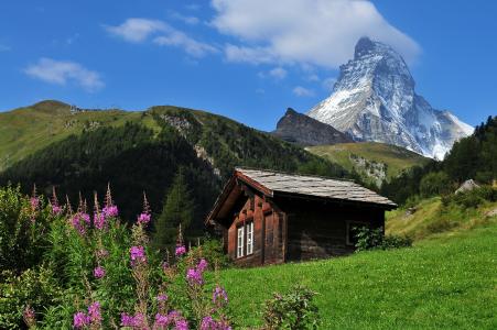 瑞士，山，小房子，森林，天空，顶部，美女，鲜花，绿化