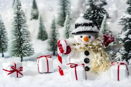 假日，新年，装修，圣诞树，雪人，冬天，雪，框，礼品