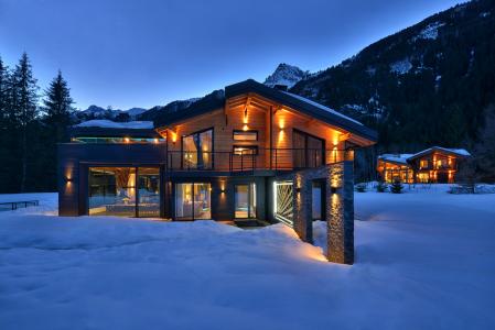 房子和舒适，山，冬天，美丽