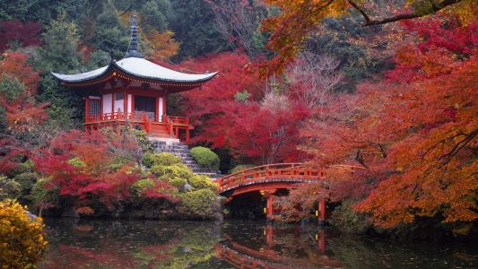 Da Temple寺，秋天，京都，日本