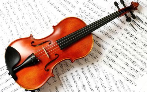 音乐，小提琴，笔记