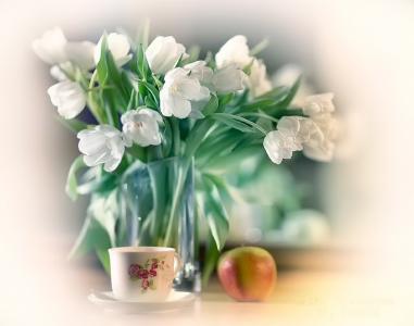 白色的郁金香，花瓶，杯，苹果