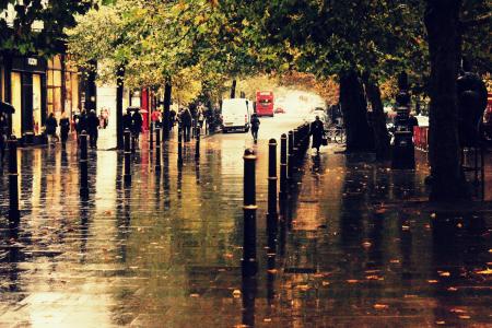 街，雨，城市，秋天