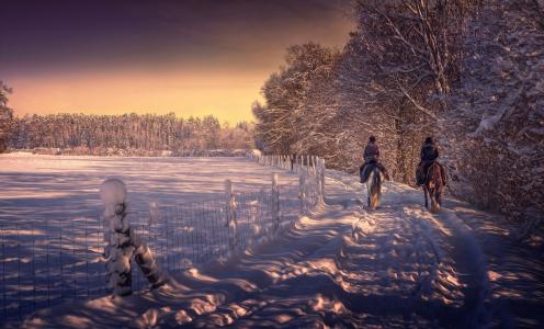 加工，雪，骑马，冬天
