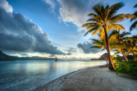 波拉波拉岛，度假村，热带地区，美丽，沙滩，山脉，棕榈树
