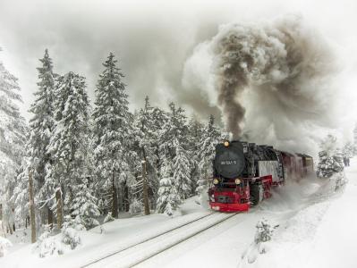蒸汽机车，冷杉，铁路，树，组成，雪，火车，冬天