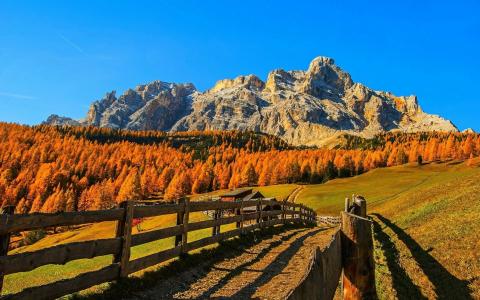 篱笆，路径，山，秋天