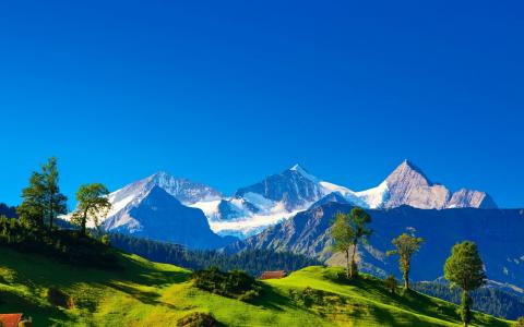 瑞士，阿尔卑斯山，山，雪，山寨，草，树，绿色