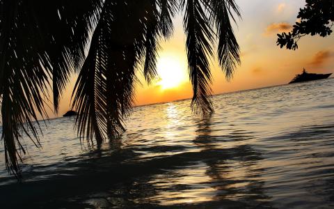 班多斯岛，马尔代夫，马尔代夫，岛，班多斯，日落，海，棕榈树，游艇，太阳，天空，休息