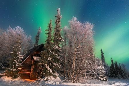 光辉，雪，霜，森林，房子，星星，晚上，冷，冰，沉默，马克斯Slastnikov