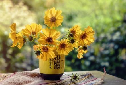 花瓶，表，餐巾，鲜花，夏天