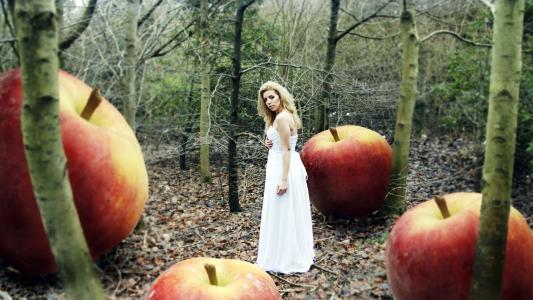 女孩，森林，苹果，创意