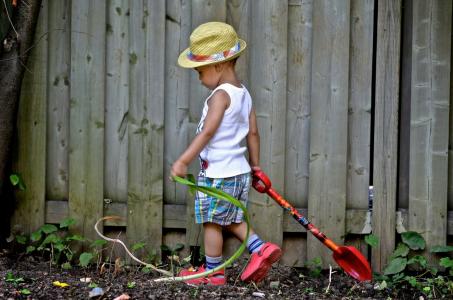 孩子，男孩，铲，帽子，篱笆，美女
