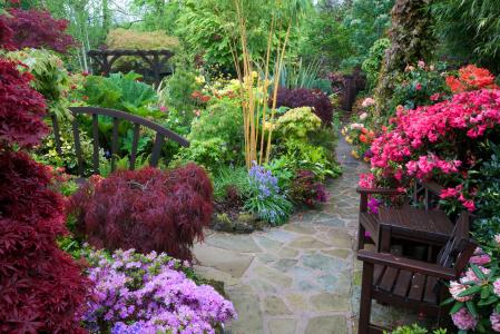 英国，花园，杜鹃花，沃尔索尔花园，灌木丛，椅子，性质
