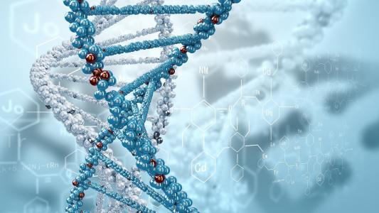 DNA，配方，分子