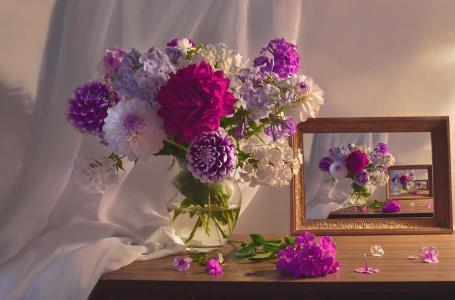 瓦伦蒂娜Kolova，花瓶，鲜花，大丽花，福禄考，窗帘，面料，镜子，反射