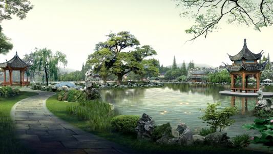 中国bisette，湖，盆景树