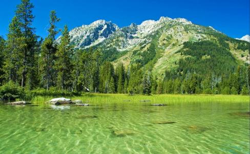大提顿国家公园，怀俄明州，自然，山脉，森林，lake.jpg