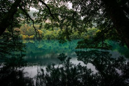 蓝色的湖，森林，树木，反射，Kushin Alexey