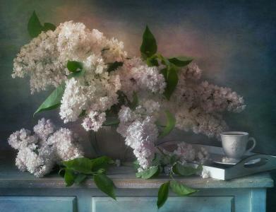 朱莉·艾斯纳，桌子，花瓶，树枝，丁香，春天，托盘，杯子，茶，喝