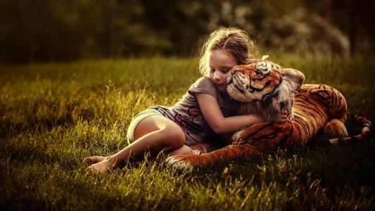 孩子，女孩，性质，夏天，草，玩具，老虎，拥抱