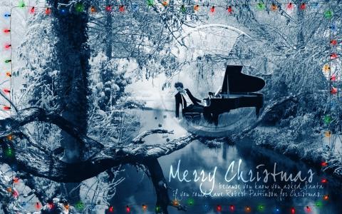 森林，希望，钢琴，突出，新的一年，圣诞快乐