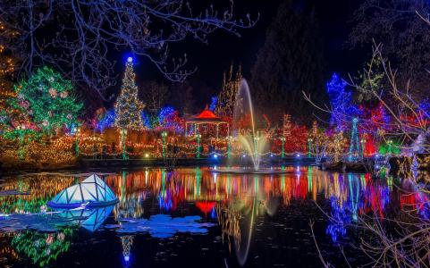 新的一年，灯，晚上，喷泉，公园，2015年