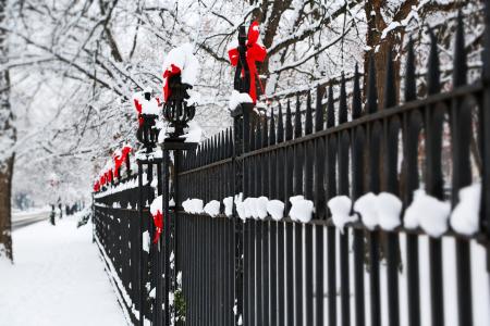 围栏，金属，棒，篱笆，弓，蝴蝶结，红色，假期，冬天，树，分支机构，雪，性质