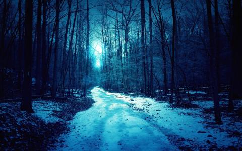 冬天，夜晚，雪，路，寂静，寂寞