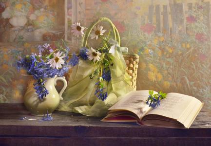 瓦伦蒂娜Kolova，板，壶，鲜花，洋甘菊，书，包，手帕