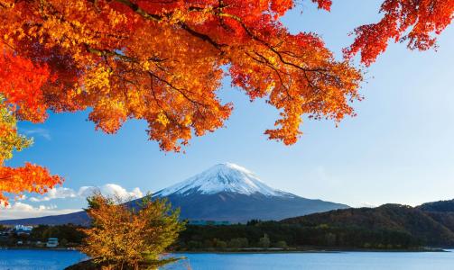 秋天，美丽，山，富士山，日本，镇