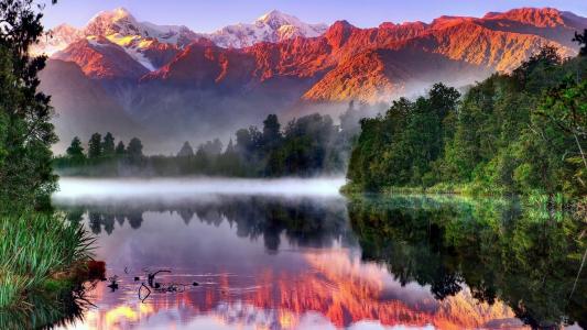 湖，水，山，森林，性质，起雾，早上，阿尔卑斯山