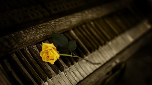 大钢琴，钢琴，复古，花卉，玫瑰