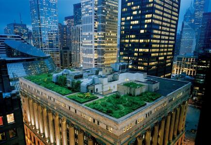 城市，芝加哥，美国，摩天大楼，屋顶，绿洲，自然，美丽