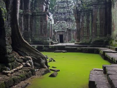 柬埔寨，寺庙，废墟，水，美女