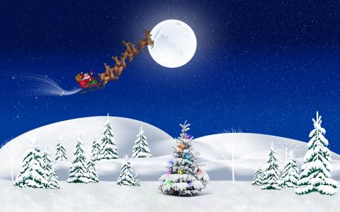 新的一年，圣诞老人，雪橇，团队，驯鹿，毛皮树，雪，冬季，礼物，假期