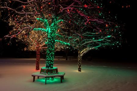 冬天，晚上，雪，树，灯，新的一年，2015年，公园，美丽