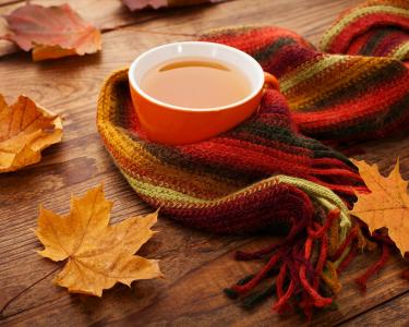 围巾，茶，热，枫叶