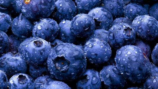 蓝莓，露水，丰盈