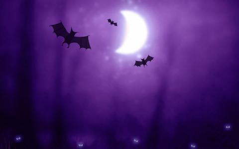 万圣节，生物，蝙蝠，月亮