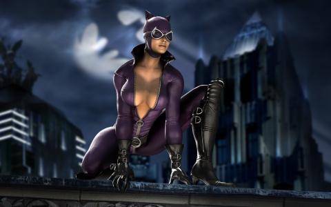 女主角，女人，猫，蝙蝠侠，在屋顶上，姿势，西装