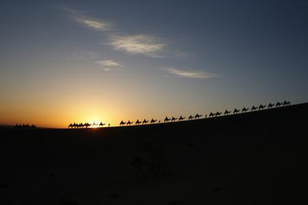 大篷车，骆驼，人，太阳，天空，云，沙漠，日落