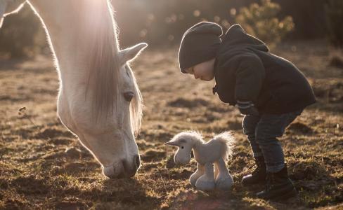 男孩，马，玩具，照片，积极